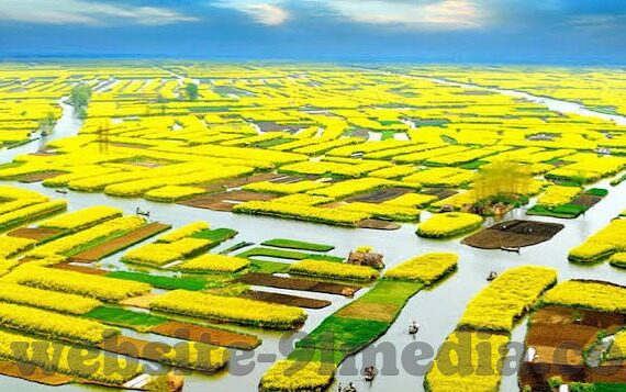 国产麻豆剧果冻传媒白晶晶-国产影视新风尚，麻豆剧与果冻传媒的白晶晶现象