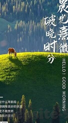 伦理片神马-伦理片，在光影中探寻人性的深度