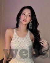 麻豆av在线免费播放-幻视影像，试析网络视频的边界与影响