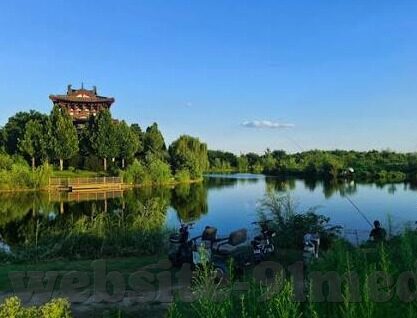 麻豆超爱秀视频-麻豆超爱秀，网路新风尚下的生活秀场