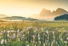 麻豆传谋app下载b站-麻豆传谋app，探索B站下载体验的全面解析