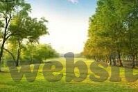 人妻强制-探索人妻角色在当代社会中的微妙平衡