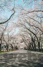 亚洲图欧美图日韩av-亚洲、欧美、日韩AV，文化与市场的多元视角